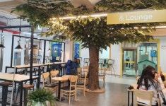 [삼척]삼척 중앙시장 청년몰 `청춘海 개장