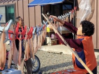 [속초]“추석 이어 설에도 차례상 장만 못해 조상님께 죄송”