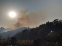 철원군 서면 자등리에서 산불…험한 산세로 진화에 어려움