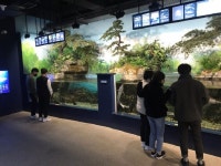 [강릉]경포아쿠아리움 관광객 80% 급감에 휘청