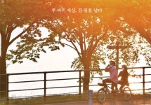 [자전거 탄 풍경]두 바퀴 세상, 강 위를 날다