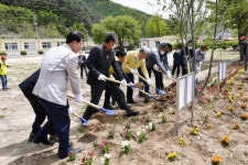 [포토뉴스]하장면 나무심기 행사