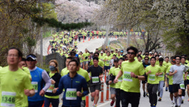 [알립니다]신록의 의암호변을 달린다