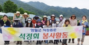 [포토뉴스]영월군 직장동호회 석정회 농촌 봉사