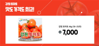강원 토마토 특판 행사 성황리에 마쳐...기온 급상승으로 조기종료