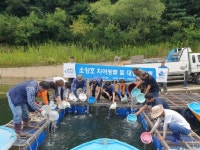 [포토뉴스]K-water 소양강지사 양구서 치어 방류행사