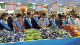 전국 대형마트 강원농산물 특판