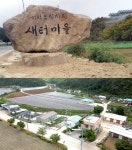 [특집]80가구 145명 주민 거주…느릅나무 군락지·도장골 성황당 자원 보유