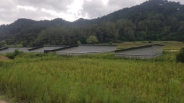 [양구]양구 도사리 마을 입구에 태양광시설 반발