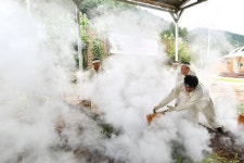 [정선]삼베짜기 전통문화 전승 정선문화원 삼굿 개최