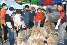[평창]개장 두 달만에 4만명…장평5일장 대박