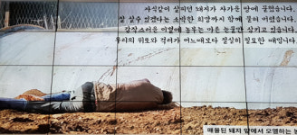 “애지중지 자식처럼 키웠는데 살처분…남은건 빚더미”