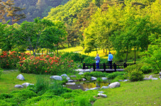 [홍천]청정 수타사 걸으며 형형색색 가을 추억을 새겨요