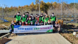 [포토뉴스]상서면 산양리 마을 농촌일손돕기