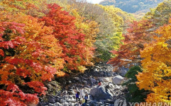 10월의 마지막 날 단풍객들로 주요 명산 인산인해