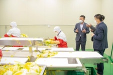 [포토뉴스]해양심층수 절임배추 생산시설 현장점검