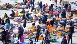 [포토뉴스]명절 앞두고 옥천동 새벽시장 북적