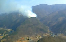 [2보]영월 김삿갓면 산불 2시간여 만에 진화…소각 부주의 추정