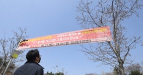[강릉]“강릉 남산공원 벚꽃구경 자제해주세요”