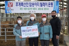 [포토뉴스]횡성축협 암송아지 릴레이 운동