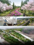 [특집]상쾌한 치악산 바람이 내려온다…원주 도심 전체가 숲세권