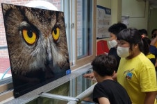 [포토뉴스]인제 서화초교 DMZ 생태환경·용늪 사진전