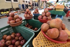 [포토뉴스]사과 값도 무섭네