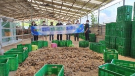 [포토뉴스]횡성읍사무소·군 산림녹지과 농촌 일손돕기 봉사