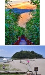 [여기 서면 인생샷]들리네, 초록 바람…열리네, 붉은 바다