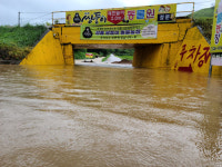 [포토뉴스]집중호우 로 담긴 천남리 굴다리