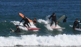 [포토뉴스]전국서 몰린 서퍼…아직 뜨거운 죽도해변
