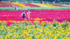 [여기 서면 인생샷]가을이 활짝 피었습니다