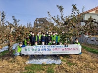 [포토뉴스]농협 감사위원회 농가 일손돕기