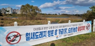 [포토뉴스]강릉 철새도래지에 AI 주의 당부