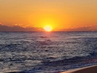 동해안 해돋이 축제 전면 취소…또다시 상경기 직격탄 우려