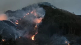 [2보]평창군 방림면 계촌리 산불 지속