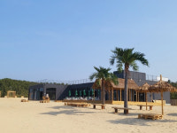 [동해]동해 망상해변 서핑비치로 오세요