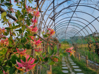 [강원의 맛·지역의 멋]신라 화랑들도 절경에 감탄원시의 생명 고스란히살아서 숨쉬는 곳