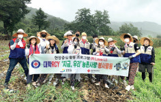 [포토뉴스]강원적십자사 대학 RCY 농촌봉사활동