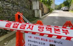 영서북부권서 잇딴 아프리카돼지열병…농가 초비상