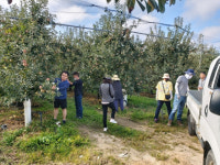 [포토뉴스]강원도인재개발원, 농촌일손돕기 봉사활동
