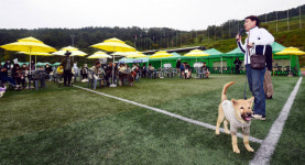 [포토뉴스]뭉치와 함께 춘천 펫스타 참여한 김진태 강원도지사