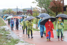 동해시민들, 가을비 우산속에 전천 강변 걸었다