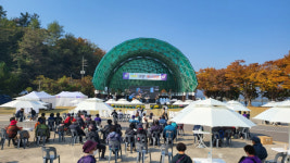 [포토뉴스]제1회 강남동 마을축제  강남 페스티벌