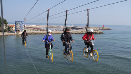 강릉 바다하늘자전거 인기