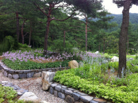 강릉 향호, 솔향수목원 일대 난개발 막는다