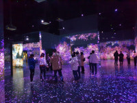 동해시, 장애인 독서 문화프로그램 운영