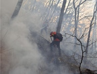 양구 이현리서 산불 발생…50여분만에 진화