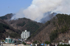[포토뉴스] 화천군 화천읍 중리에서 산불 발생, 진화 작업 중