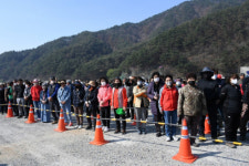 평창군 희망의 나무나눠주기 인기 만점
